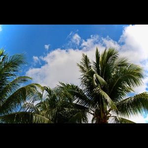 Meet your Posher, Fred